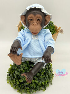 Bebé Chimp Camisola + Pololo Celeste