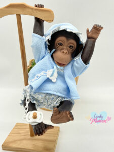 Bebé Chimp Camisola + Pololo Celeste